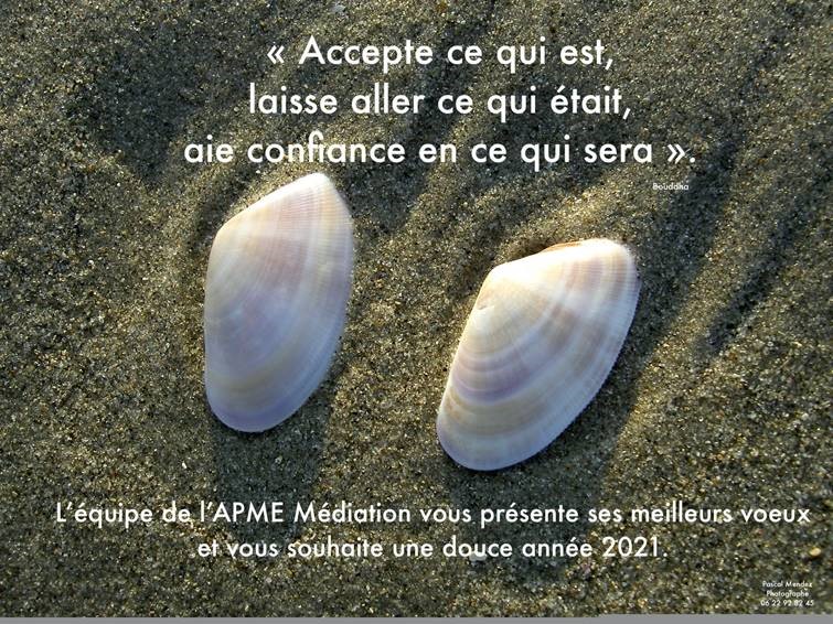 Deux coquillages sur la plage